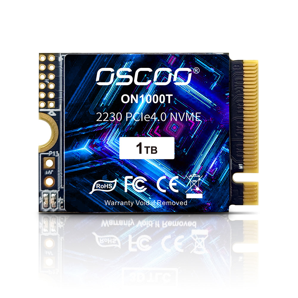 2230 NVMe SSD Disk