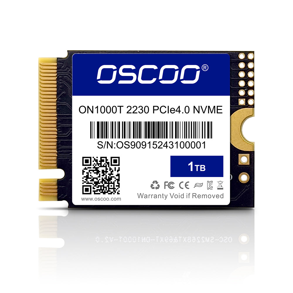 2230 NVMe SSD Disk