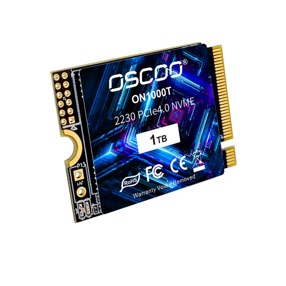 2230 NVMe SSD Disk