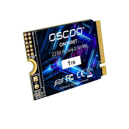 2230 NVMe SSD Disk